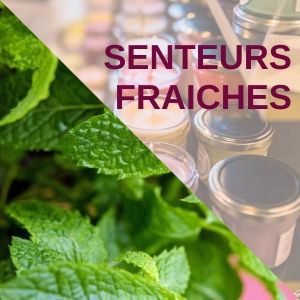 Réchauds aux senteurs fraiches