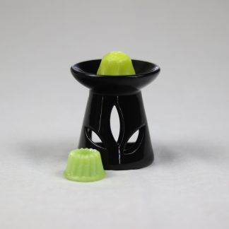 Bougie fondant melon