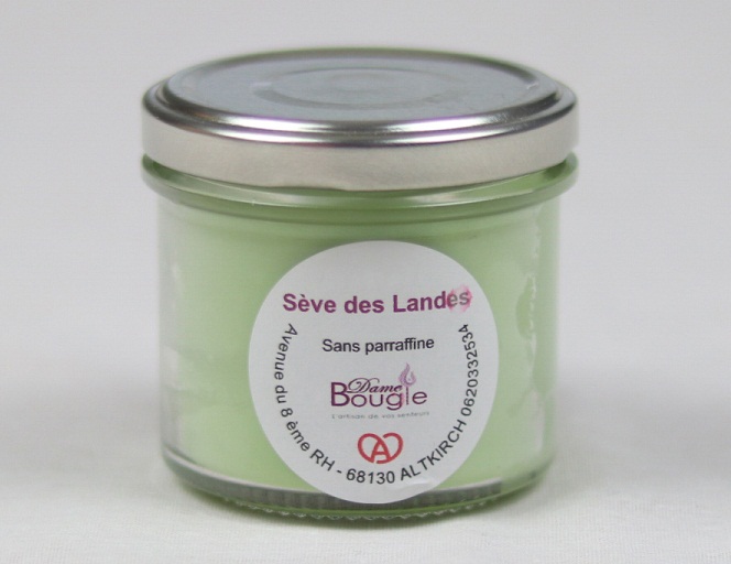 Bougie senteur sève des landes